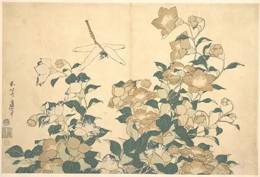 葛飾北斎画　桔梗に蜻蛉|Dragonfly and Bellflower, by Katsushika Hokusai