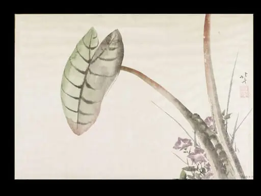 Taro Potato Leaf and Bellflowers, by Katsushika Hokusai