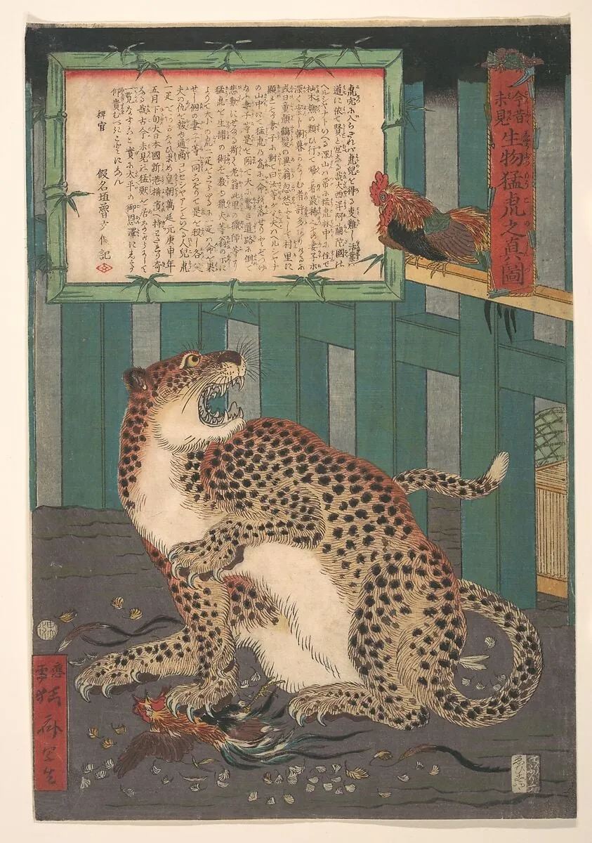 「今昔未見 生物猛虎之真図」|Never Seen Before: True Picture of a Live Wild Tiger (Konjaku miken, Ikimono mōko no shinzu), by Kawanabe Kyōsai 河鍋暁斎, ink, 1860