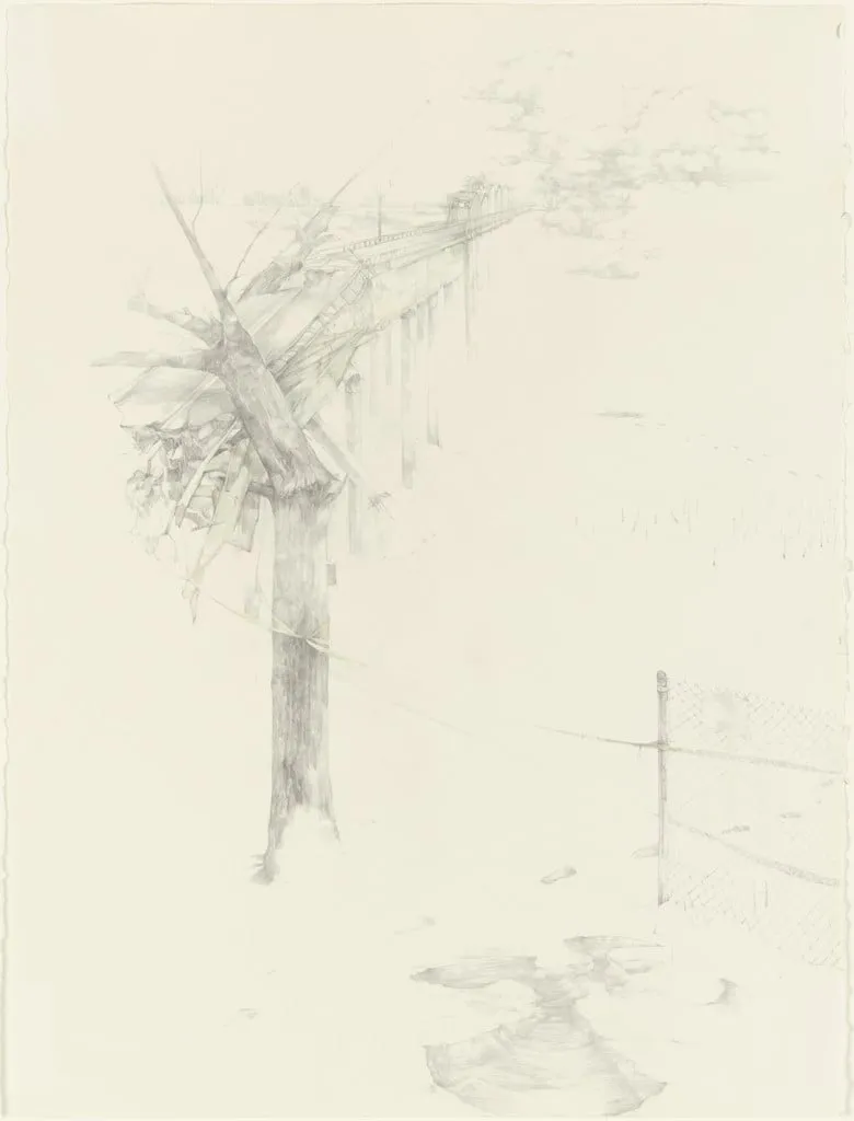 Untitled, by Kelly McLane, graphite, 2003