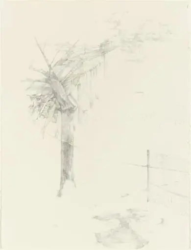 Untitled, by Kelly McLane