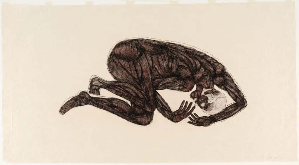 Untitled, by Kiki Smith, ink, 1992