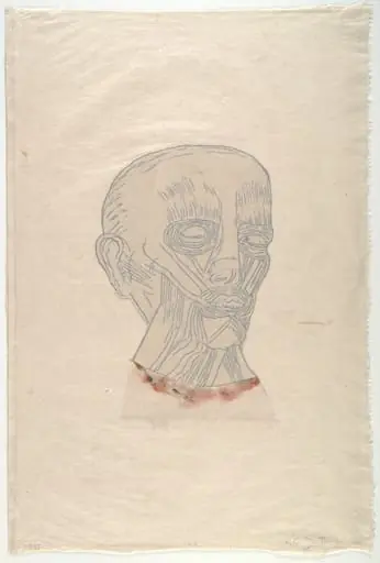 Untitled, by Kiki Smith