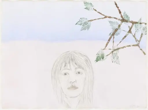 Untitled, by Kiki Smith