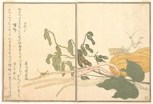 画本虫撰　バッタと蟷螂|Cone-headed Grasshopper or Locust, (batta); Praying Mantis (Tōrō or Kamakiri), from the Picture Book of Crawling Creatures (Ehon mushi erami)