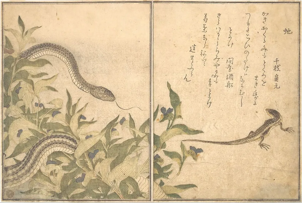 『画本虫撰』「虵」「とかけ」|Rat Snake (Hebi); Lizard or Skink (Tokage), from the Picture Book of Crawling Creatures (Ehon mushi erami), by Kitagawa Utamaro, ink, 1788