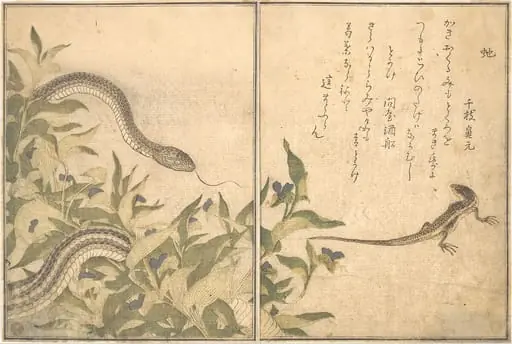 『画本虫撰』「虵」「とかけ」|Rat Snake (Hebi); Lizard or Skink (Tokage), from the Picture Book of Crawling Creatures (Ehon mushi erami), by Kitagawa Utamaro