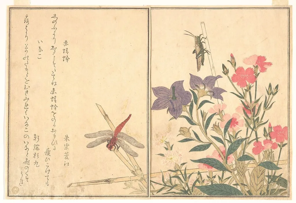 『画本虫撰』「赤蜻蛉」「いなこ」|Red Dragonfly (Akatonbo); Locust (Inago), from the Picture Book of Crawling Creatures (Ehon mushi erami), by Kitagawa Utamaro, ink, 1788