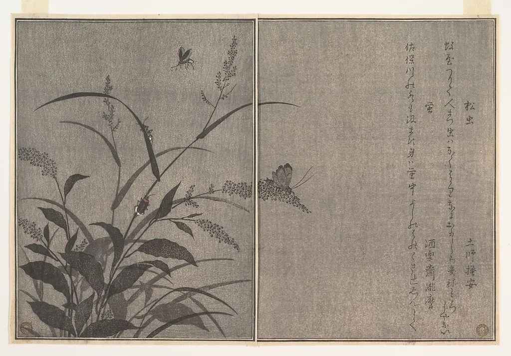 『画本虫撰』 「松虫」「虫蛍」|Tree cricket (Matsumushi); Firefly (Hotaru), from the Picture Book of Crawling Creatures (Ehon mushi erami), by Kitagawa Utamaro, ink, 1788