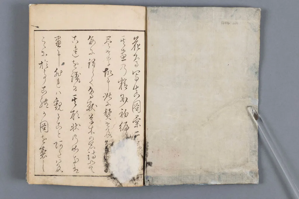 Atlas kwiatów i ptaków rysowanych z natury, by 北尾 重政 Kitao surname Shigemasa name