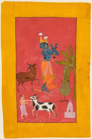 Krishna Fluting