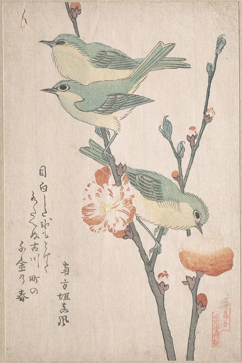 『鳥合』 桃花に目白|Japanese White-eyes on a Branch of Peach Tree,” from the Series An Array of Birds (Tori awase), from Spring Rain Surimono Album (Harusame surimono-jō, vol. 3), by Kubo Shunman, ink, 1808