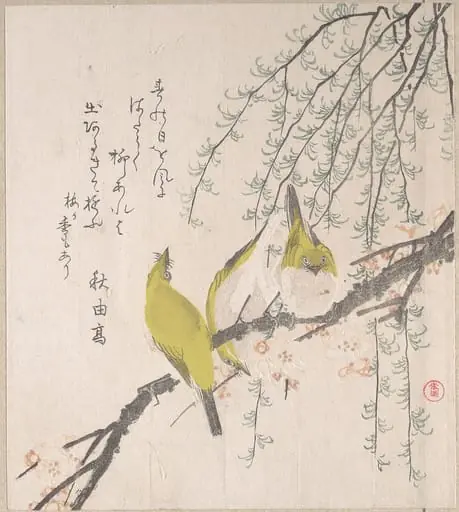 梅と柳に目白|Japanese White-eyes with Plum Tree and Willow, from Spring Rain Surimono Album (Harusame surimono-jō, vol. 3), by Kubo Shunman