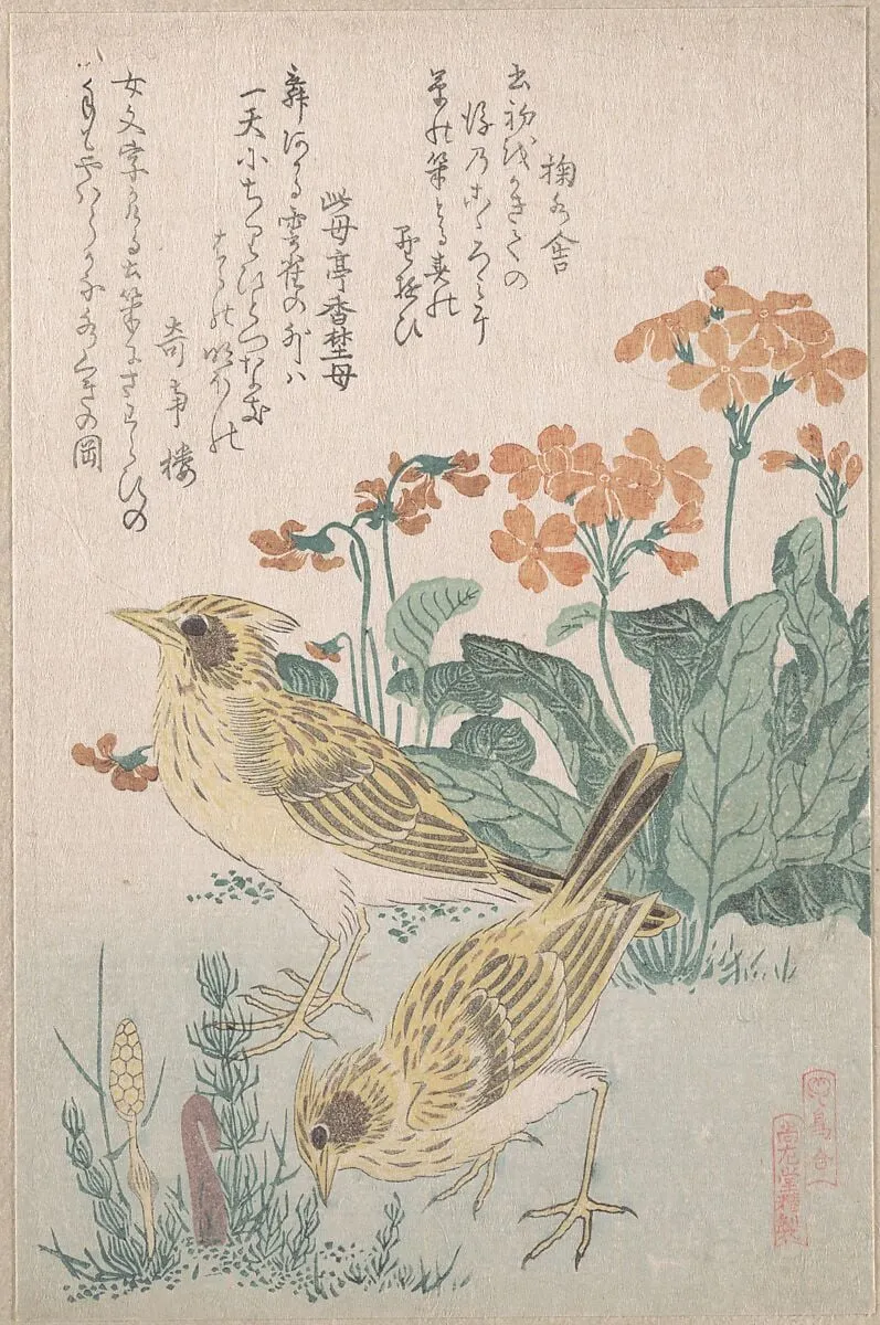 『鳥合』 桜草に雲雀|Skylarks and Primroses,” from the Series An Array of Birds (Tori awase), from Spring Rain Surimono Album (Harusame surimono-jō, vol. 3), by Kubo Shunman, ink, 1808
