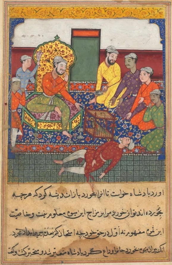 The old man eats of the fruit of the Tree of Life, but drops dead, from a Tuti-nama (Tales of a Parrot): Ninth Night, by Lalu, unspecified, 1560