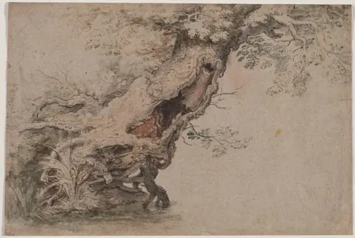 Hollow Tree, after Roelant Savery, by Lambert Doomer