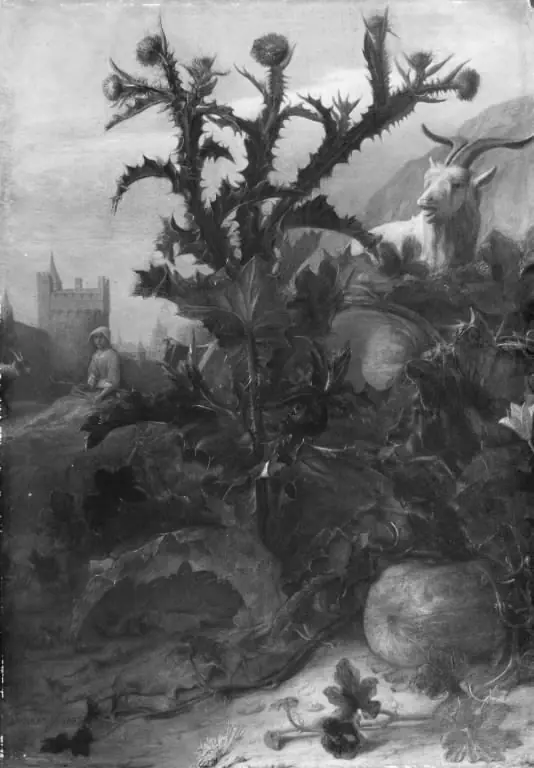 Thistle, Pumpkin and a Goat, by Lambert Doomer