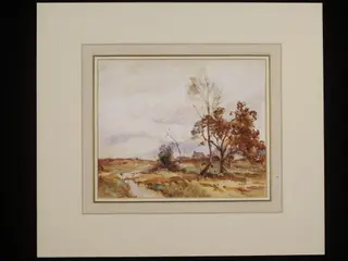 Landscape
