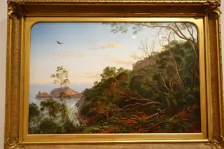 Landscape