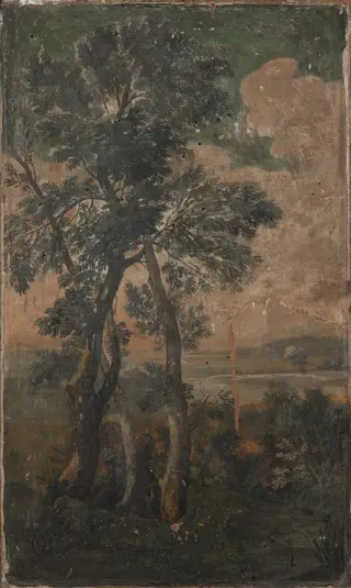 Landscape
