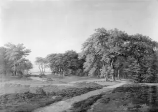 Landscape. Composition