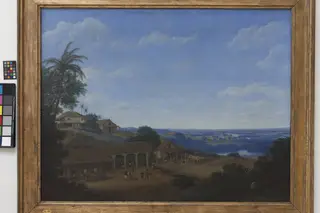 Landscape in Brazil with Sugar Plantation