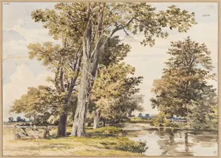 Landscape, river view with trees and haymakers