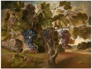 Landscape with a Vine