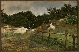 Landscape with forest and hills