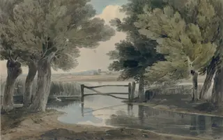 Landscape with pond and trees