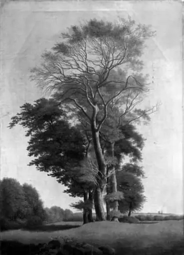 Landscape with Trees