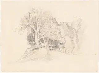 Landscape with Trees