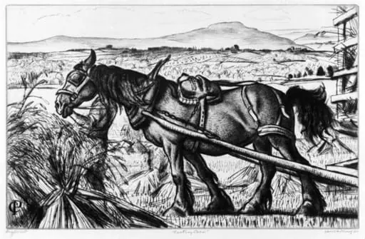 Carting Corn, by Laura Knight