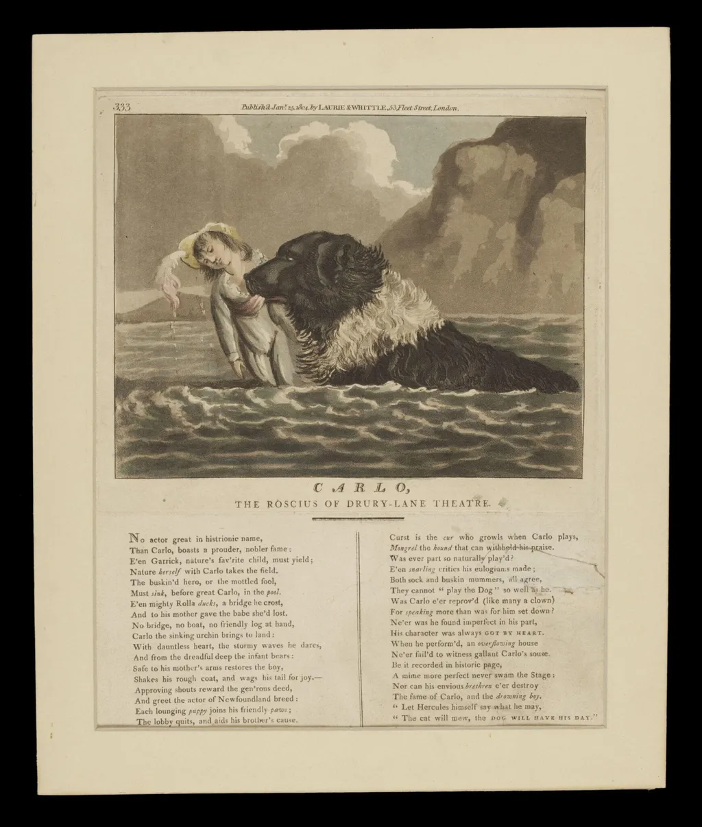 H Beard Print Collection, by Laurie and Whittle, 26