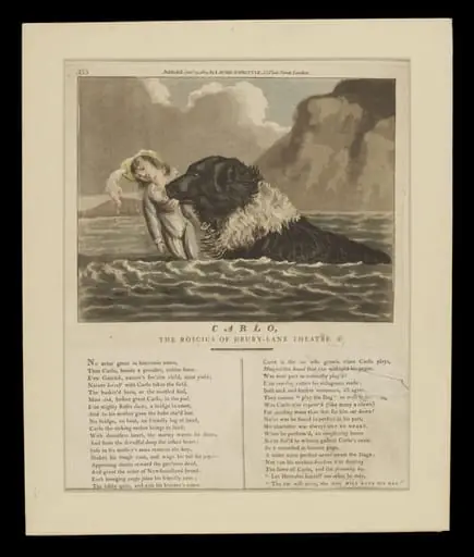 H Beard Print Collection, by Laurie and Whittle