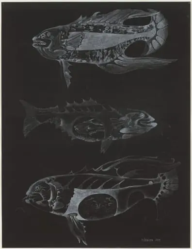 Untitled, by Lee Bontecou