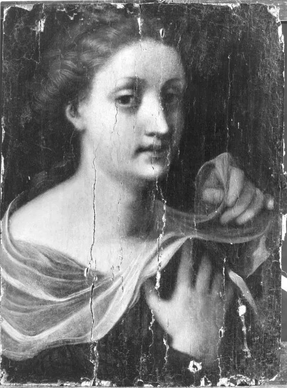Bildnis einer jungen Frau, by Lelio Orsi, unspecified, 1549
