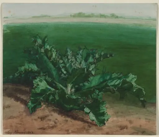 Study of a Plant, Possibly Thistle, by Léon Bonvin
