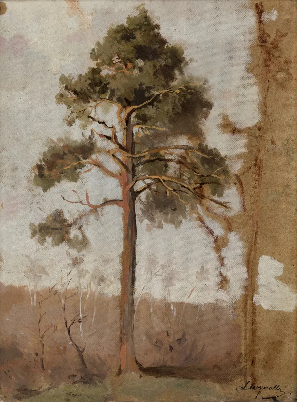Pines at Połąga, by Leon Wyczółkowski, oil, 1908