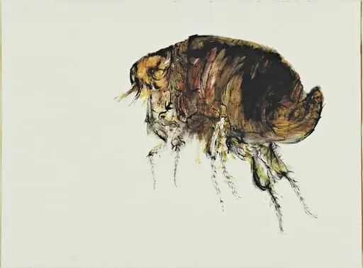 Untitled, by Leonard Baskin