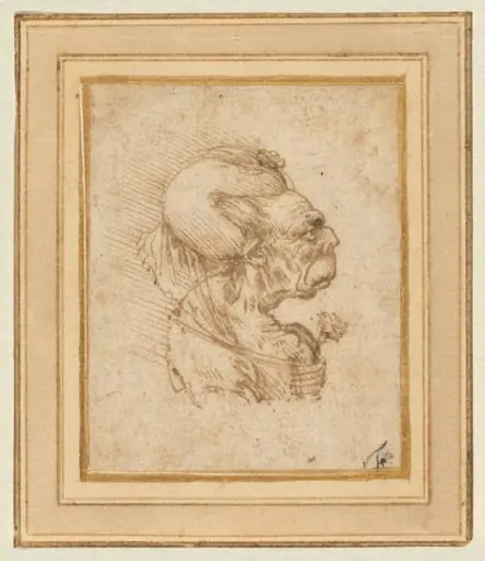 Grotesque Head of an Old Woman, by Leonardo da Vinci