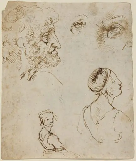 Sheet of Studies [recto], by Leonardo da Vinci
