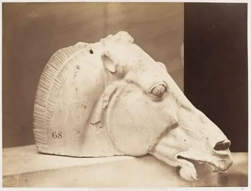 Head of one of the horses of the car of Silene, by Leonida Caldesi