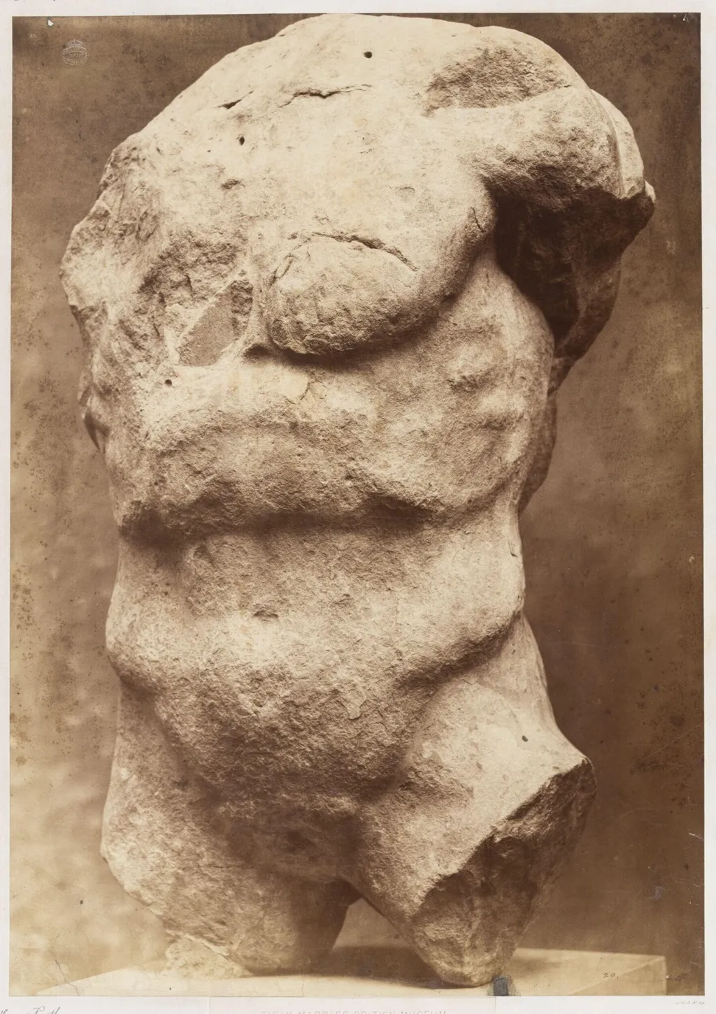 Torso of Cecrops, by Leonida Caldesi, photographic, 1860
