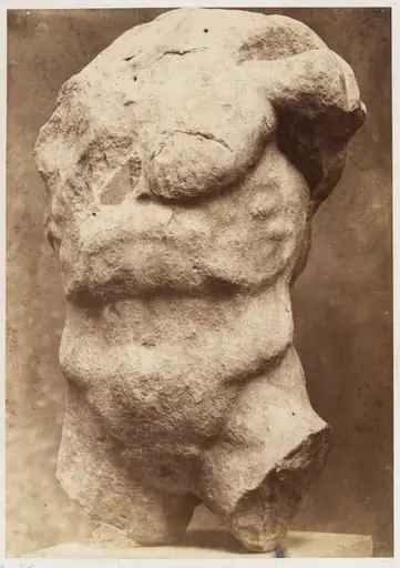 Torso of Cecrops, by Leonida Caldesi