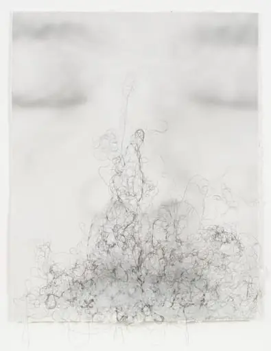 Untitled, by Lin Tianmiao