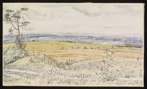 View from Calne Golf Course near Heddington, by Lines