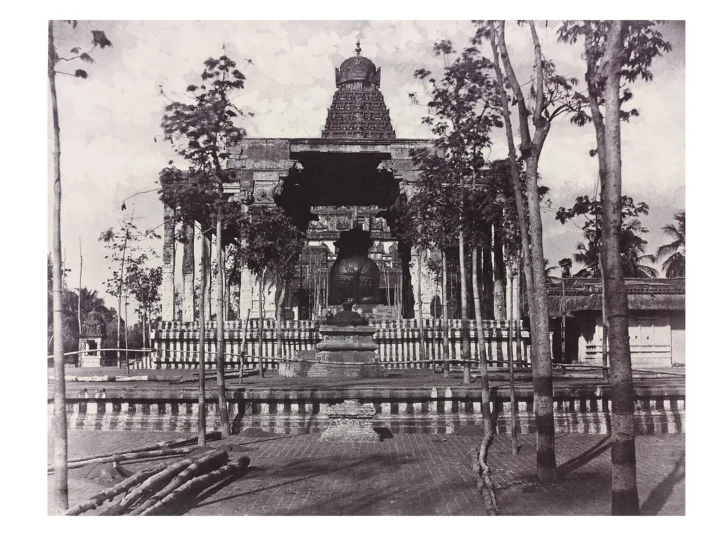 The Great Bull from the Gateway, by Linnaeus Tripe, photographic, 1858