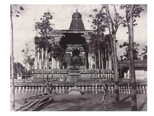 The Great Bull from the Gateway