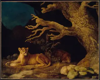 Lion and Lioness, by George Stubbs